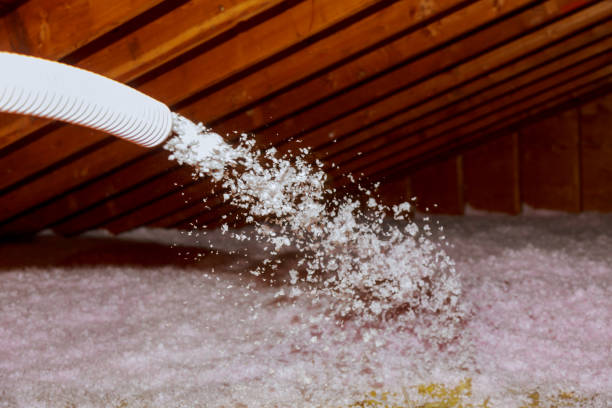 Best Crawl Space Insulation  in Noble, OK