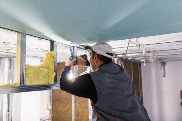 Best Cellulose Insulation  in Noble, OK