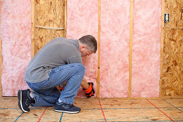 Best Insulation Replacement Services  in Noble, OK